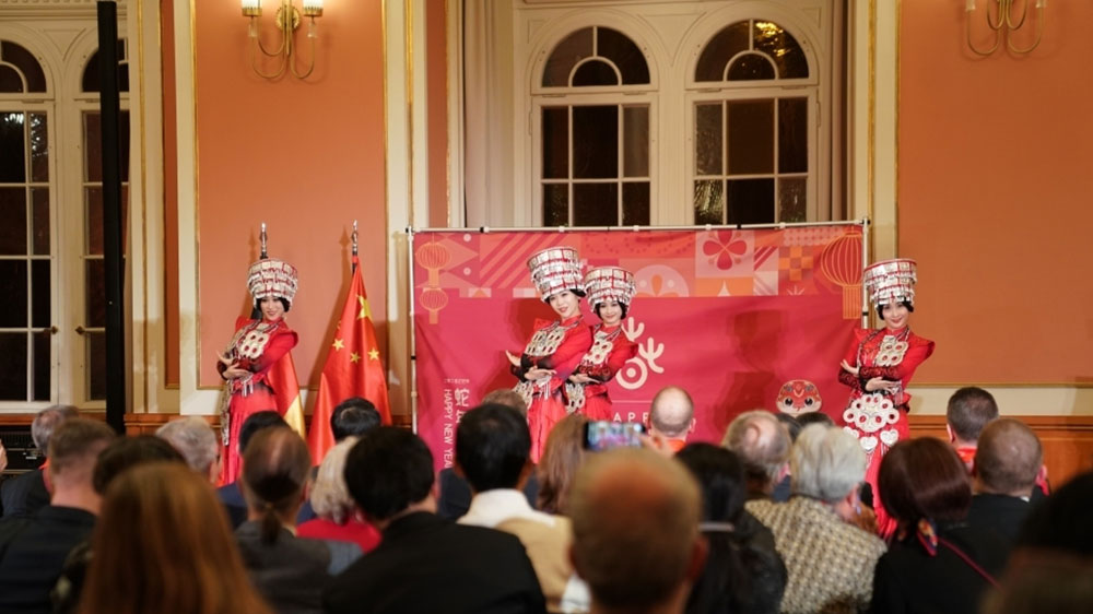 2025蛇年“歡樂春節(jié)”新春慶典晚會-(3).jpg