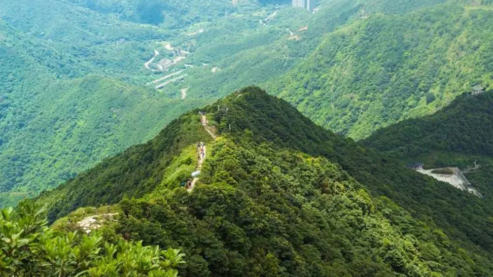 廣東：省森林旅游發(fā)展規(guī)劃出爐，“一帶、四區(qū)、六環(huán)、多點”促進森林旅游健康發(fā)展！