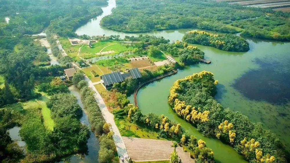 廣州：南沙區(qū)召開創(chuàng)建全域旅游示范區(qū)動(dòng)員大會(huì)，奮力開創(chuàng)全域旅游發(fā)展的新局面！