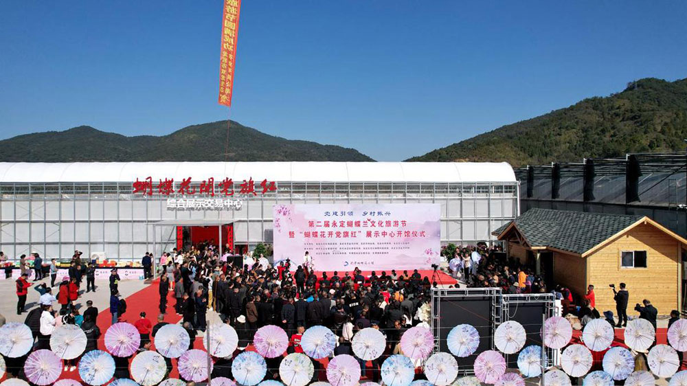 福建：第二屆永定蝴蝶蘭文化旅游節(jié)正式舉行，推動(dòng)永定蝴蝶蘭產(chǎn)業(yè)高質(zhì)量發(fā)展！