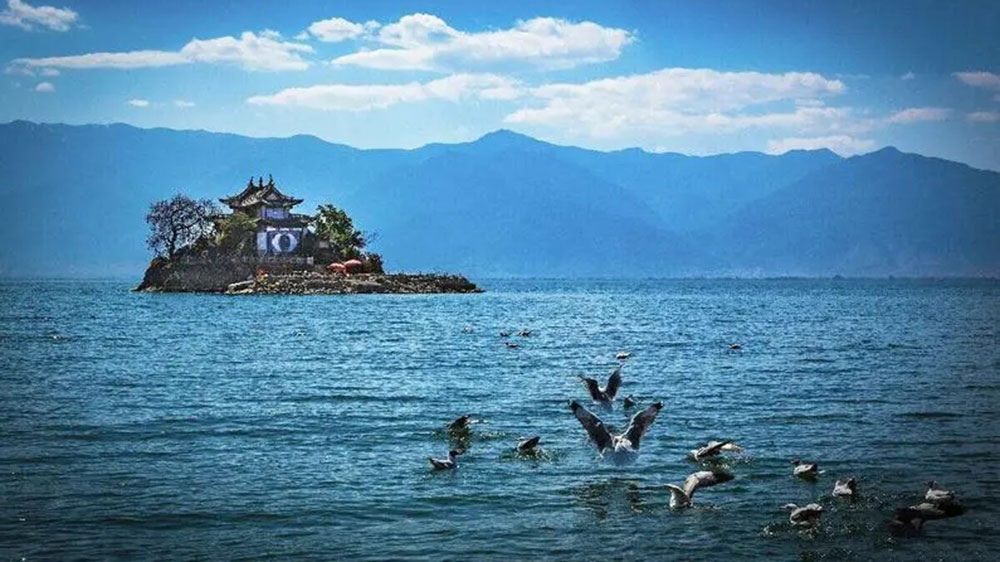 文旅動(dòng)態(tài)：云南省文化和旅游廳在四川設(shè)立招商辦，共謀旅游產(chǎn)業(yè)高質(zhì)量發(fā)展！