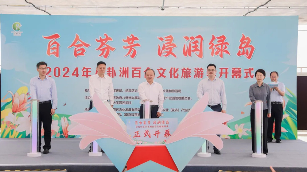江蘇：2024年八卦洲百合文化旅游季正式啟動(dòng)，進(jìn)一步助推八卦洲現(xiàn)代農(nóng)業(yè)產(chǎn)業(yè)振興！